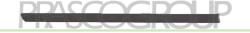 PRASCO Elemente decorative/protectie, portiera PRASCO VG0341453 (VG0341453)