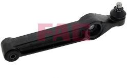 Fag Brat, suspensie roata FAG 821 0289 10 (821 0289 10)