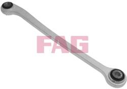 Fag Brat/bieleta, suspensie roata FAG 821 0919 10 (821 0919 10)