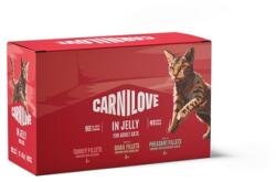 CARNILOVE Cat Pouch Jelly Multipack 12x85 g ízletes filék zselében felnőtt macskák számára