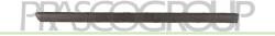 PRASCO Elemente decorative/protectie, portiera PRASCO VG0521453 (VG0521453)