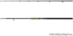Delphin ENERGY Catfish 280cm/250-500g (101006647)