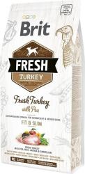 Brit Fresh Adult Fit & Slim - Friss pulykahús borsóval (2 x 12 kg) 24kg
