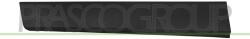 PRASCO Elemente decorative/protectie, portiera PRASCO OP7001404 (OP7001404)