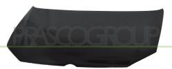 PRASCO Capota motor PRASCO VG0233100 (VG0233100) - fixbox