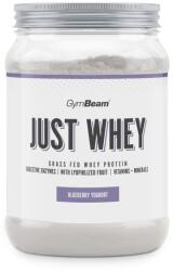 GymBeam Just Whey Grass-Fed Protein 500 g blueberry yoghurt