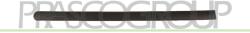 PRASCO Elemente decorative/protectie, portiera PRASCO VG9041453 (VG9041453)