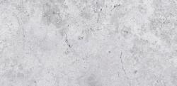 Fanal Gresie Fanal Petra Grey RC Rectificata Mata Antiderapanta 60 x 120 cm