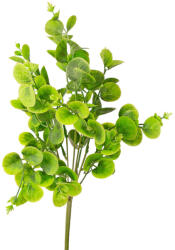 Valex Decor Pénzlevelű pilea műnövény, 5 ágú, 40cm magas - Világoszöld (LD079-01)