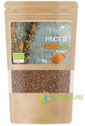 PRONAT Fructe de Catina Macinate Ecologice/Bio 70g