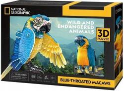 Dante 3D Puzzle National Geographic Zafír Ara (6944588210977)