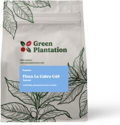 Green Plantation Gesha Panama Finca La Cabra Natural C49 100g | Filter