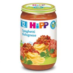 HiPP *hipp Spaghetti Bolognese 250g (hpspagetbol250) (4062300262515)