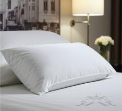 Ralex Pucioasa Pernă HoReCa 70x70 cm Bumbac Percale, umplutură fibră (400.418)