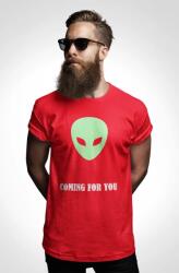 D&B Férfi/Unisex Póló EB00003 Coming Piros-Méret 2XL (EB00003ComingRedSize2XL)