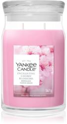 Yankee Candle Enchanting Cherry Blossom illatgyertya 567 g