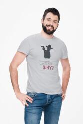 D&B Férfi/Unisex Póló MO00074 Walking Dead Szürke-Méret M (MO00074WalkingDeadGreySizeM)