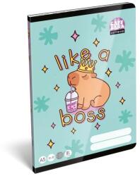 ICO Lollipop Capybara: Vonalas füzet - A/5-ös, 3. osztály (7500169000) - jatekbolt