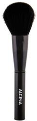 Alcina Brushes