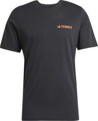 Adidas Tx Mountain Tee (jw3558)