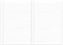 Herlitz Caiet scolar A4, 80 file, HERLITZ Megamix dictando