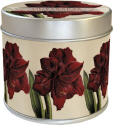 Sköna Ting Illatos gyertya "Amaryllis" - 1 db
