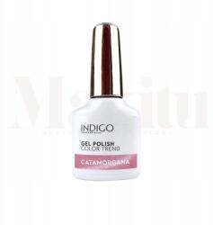Indigo Nails Hibrid lakk Catamorgana cat eye macskaszem mágneses (5902188543537)