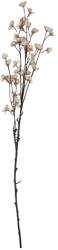 Clayre & Eef Floare artificiala alba maro 8x8x110 cm (5PL0202LP)
