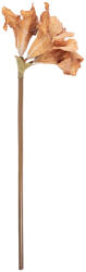 Clayre & Eef Floare artificiala maro 16x16x65 cm (5PL0264BE)