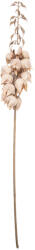 Clayre & Eef Floare artificiala bej maro 12x12x100 cm (5PL0257BE)