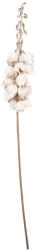 Clayre & Eef Floare artificiala alba maro 12x12x100 cm (5PL0257W)