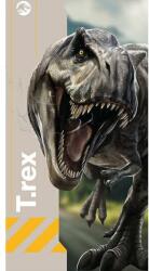 Jerry Fabrics strandtörölköző, Jurassic World Újjászületés Dinoszaurusz, pamut, 70x140cm (53916)