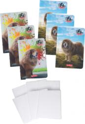 Herlitz Pachet 5 caiete + coperti A4, dictando, Boss Phantom, diverse modele, Herlitz PCKHZ9488490COP