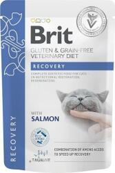 Brit Veterinary Diets Cat Pouch Fillets in Gravy Recovery macskaeledel (24 x 85 g) 1.04kg