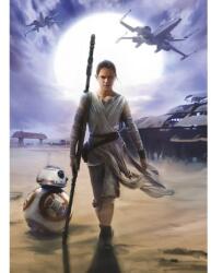Komar Fototapet Star Wars Rey