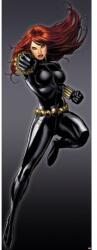 Komar Fototapet Avengers - Black Widow Decoratiune camera copii
