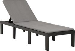 I. P. A. E-Progarden Șezlong de grădină HAITI cu saltea, 65×195×78cm, antracit