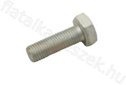 Fastoriginal Csavar Iveco Daily 00> brake disc RENAULT 4 (112_) (FT30601)