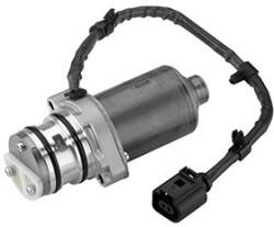 BorgWarner Pompă, cuplaj lamelar (tracțiune integrală) BORGWARNER DS119866