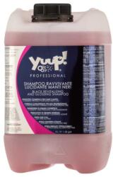 Yuup! SAMPON REVITALIZANT PENTRU BLANA NEAGRA 5L (TPC-266)