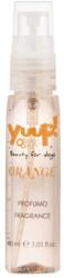 Yuup! PARFUM YUUP! ORANGE CU AROMA DE PORTOCALE DULCI SI SCORTISOARA 30ML (TPC-225)