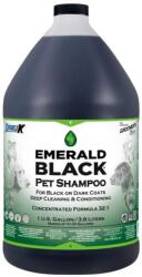 Double K EMERALD BLACK ® | 3, 8L - DOUBLE K (TPC-181)