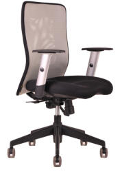 Office Pro Calypso grey