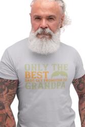 D&B Férfi/Unisex Póló ST00015 Grandpa Szürke-Méret M