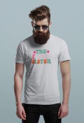 D&B Férfi/Unisex Póló ST00108 Sister Szürke-Méret XL