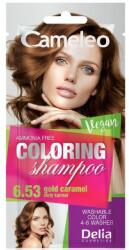 Delia Cosmetics Cameleo Șampon colorant la plic , 6.53 Golden Caramel, 40 ml