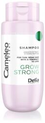 Delia Cosmetics Cameleo Șampon întăritor pentru păr Grow Strong, 300 ml