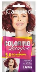 Delia Cosmetics Cameleo Șampon colorant la plic , 5.6 Dark Mahogany, 40 ml