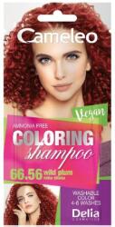Delia Cosmetics Cameleo Șampon colorant la plic , 66.56 Wild Plum, 40 ml