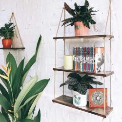  Hanah Home Wall Shelf Walnut Raf236